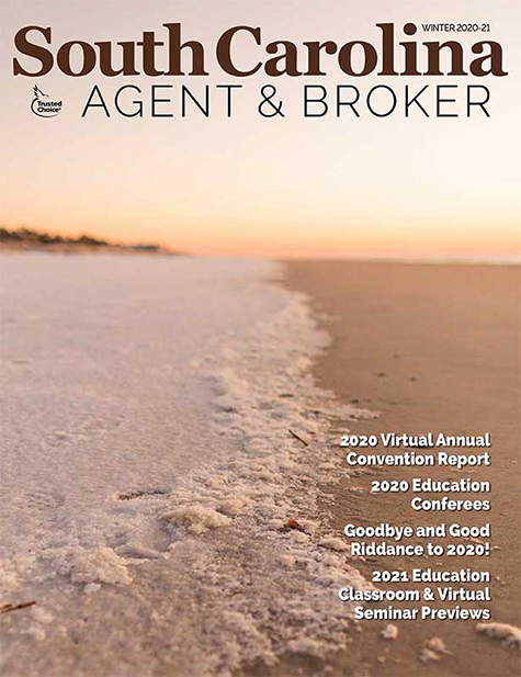 Cover features a snow-covered beach that appears to reverse the shoreline, with sand where the water normally is.