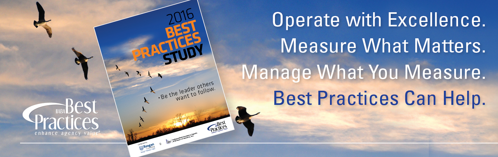 Birds flying in the sky in V formation adorn the 2016 Best Practices Study, implying a theme of teamwork.