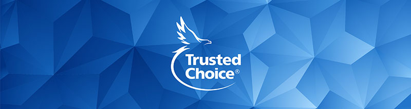 Trusted Choice logo on a long blue triangle background