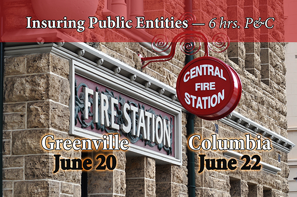 PublicEntities-fire-w.jpg