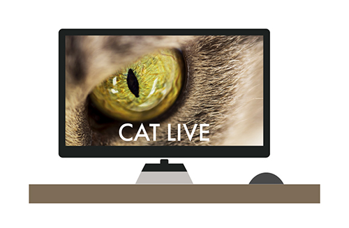 Illustrated computer screen displaying CAT logo