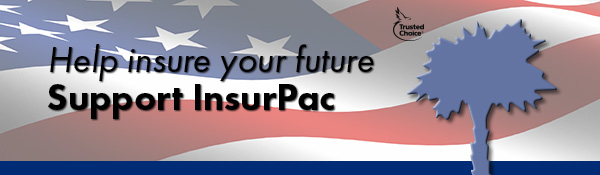 "Help insure your future, Support InsurPac " text over a waving American Flag and Palmetto Tree