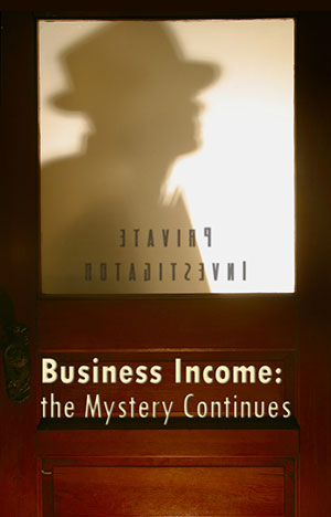 Business Income: the Mystery Continues