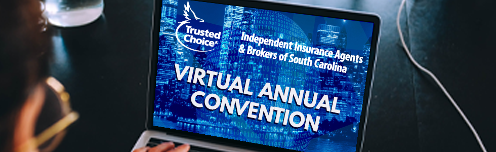 Virtual Annual Banner 2.png