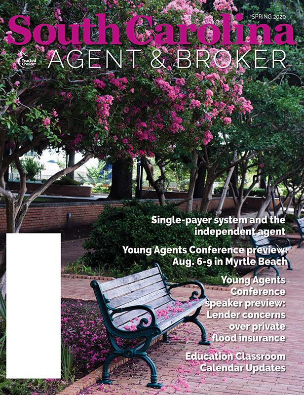 Magazine cover includes branches with pink blooms spilling petals onto a park bench and surrounding ground  on a red brick walkway.