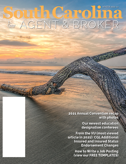Cover features driftwood and a sunset on a lowcountry beach in South Carolina.