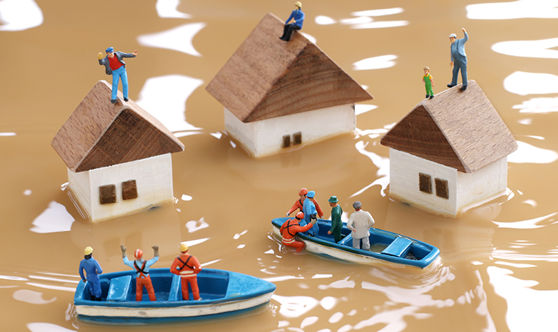 flood-diorama-w.jpg