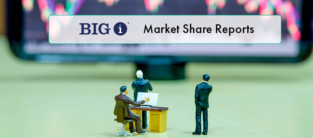BigiMarketShareReports.jpg