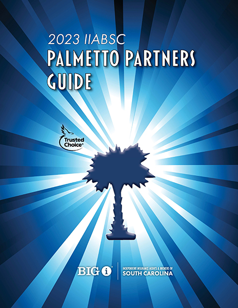 Palmetto Partner guide cover with Partner branding including blue starburst stripes and blue Palmetto tree illustration