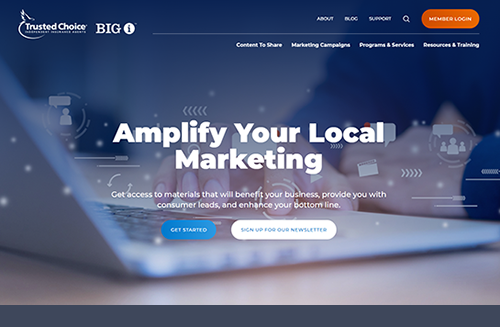 Screenshot of Trusted Choice Agents Resource website homepage