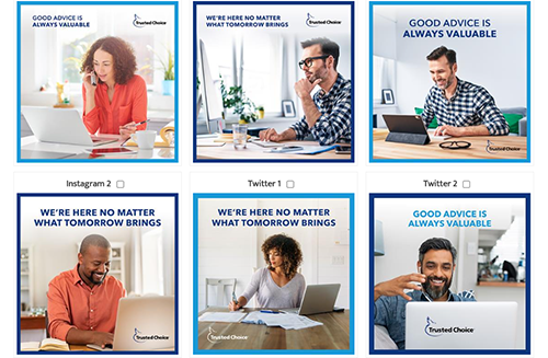 Custom Marketing Campaigns